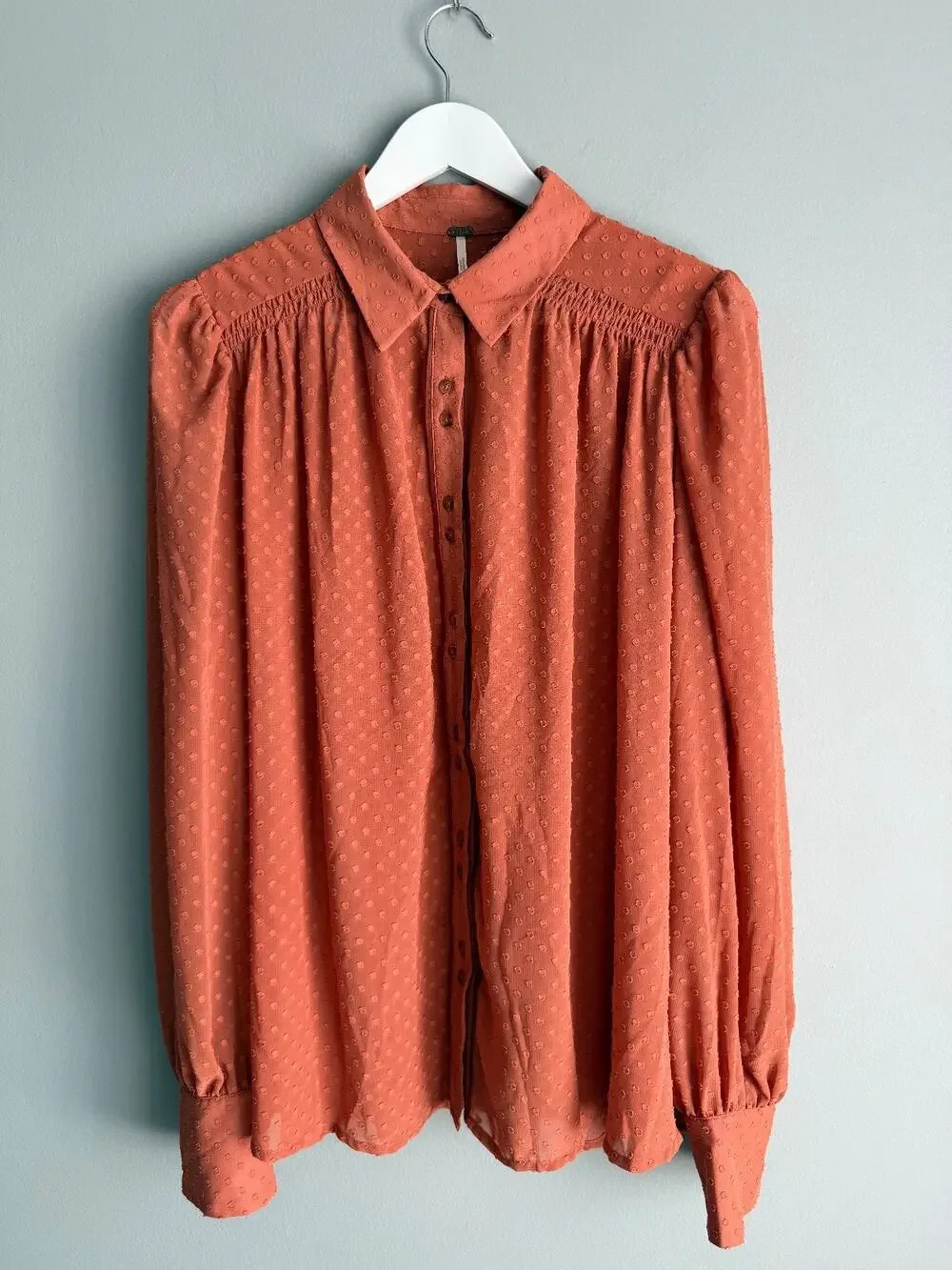 Free People Women's L Rust Terracotta Swiss Dot Blouse Long Sleeve Boho Prairie